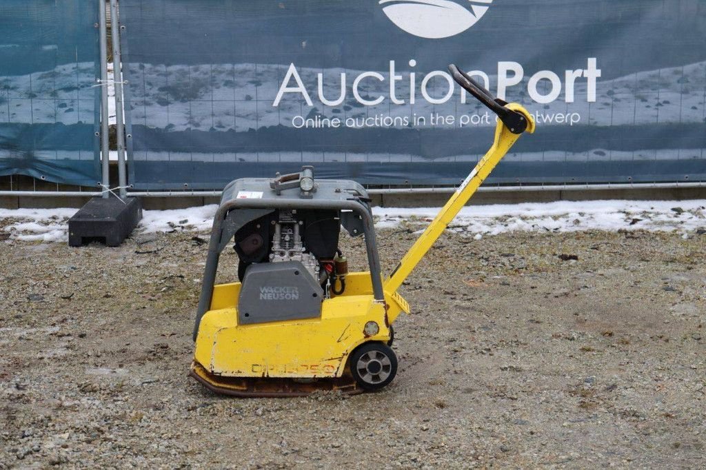 Packer & Walze tip Sonstige Neuson DPU3750Hts, Gebrauchtmaschine in Antwerpen (Poză 2)
