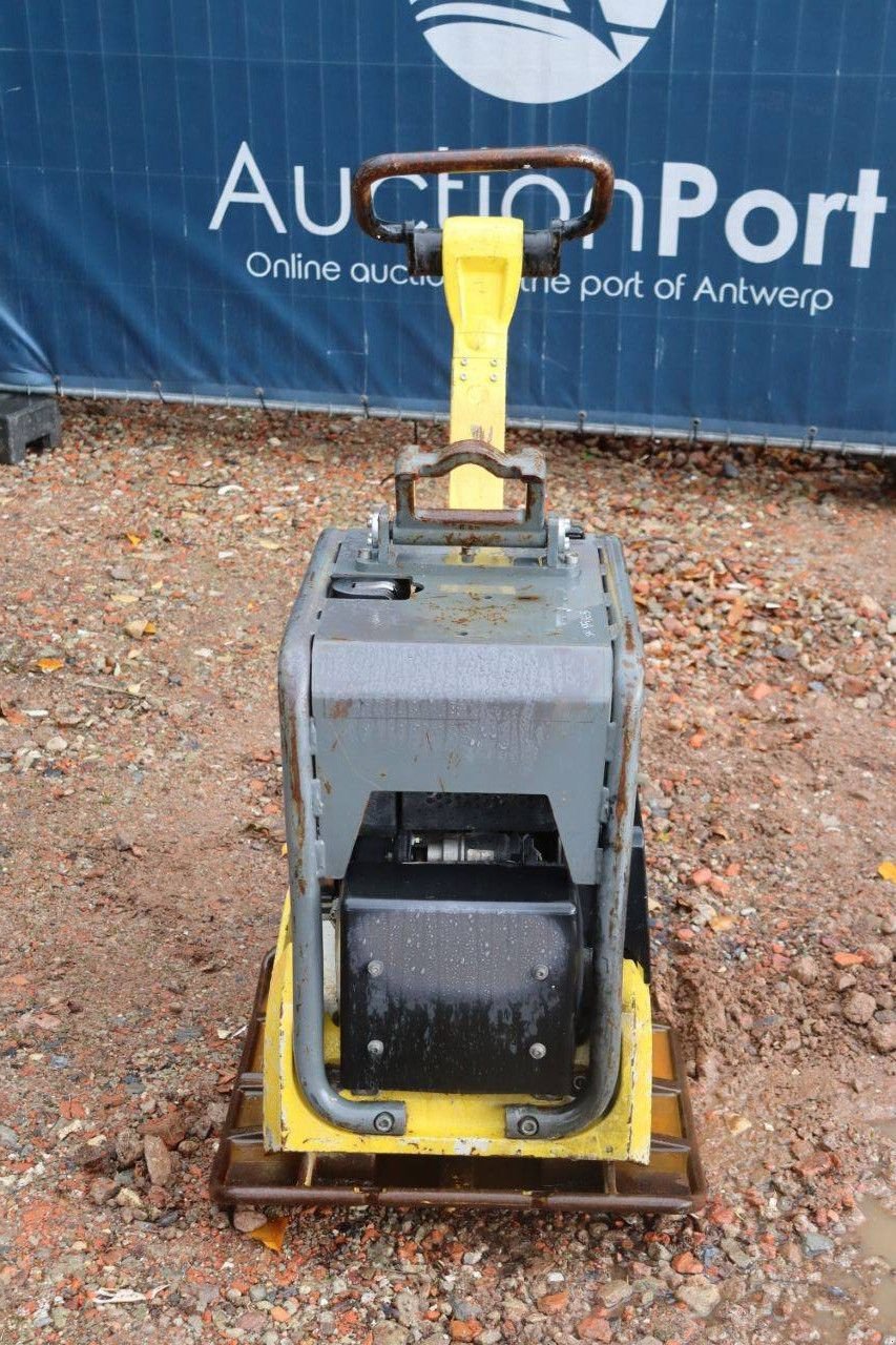 Packer & Walze tipa Sonstige Neuson DPU3760, Gebrauchtmaschine u Antwerpen (Slika 8)