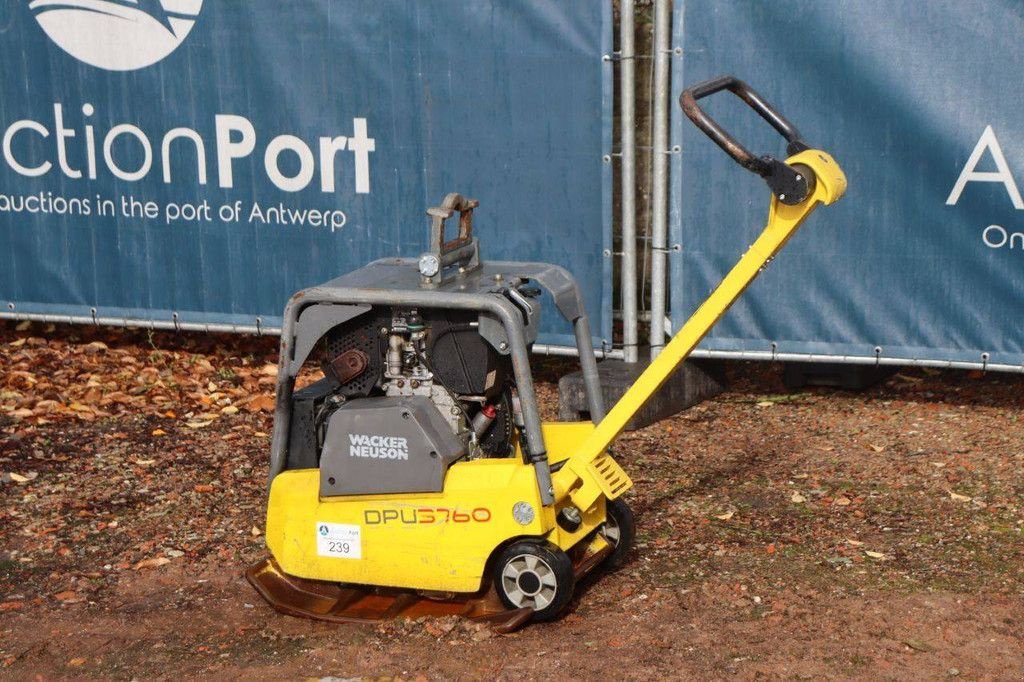 Packer & Walze Türe ait Sonstige Neuson DPU3760, Gebrauchtmaschine içinde Antwerpen (resim 2)
