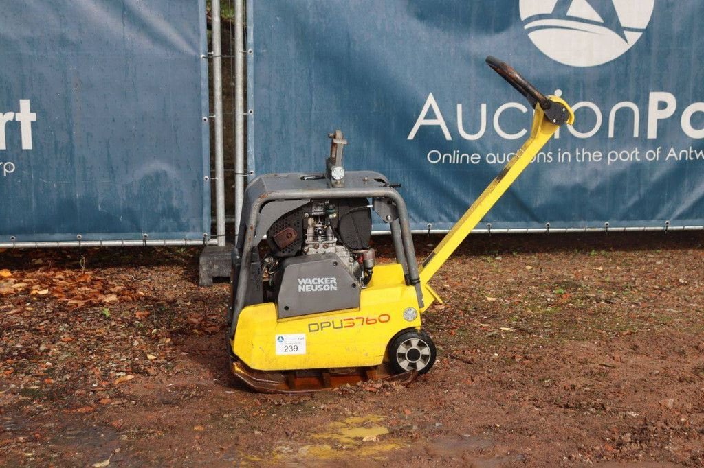 Packer & Walze Türe ait Sonstige Neuson DPU3760, Gebrauchtmaschine içinde Antwerpen (resim 1)
