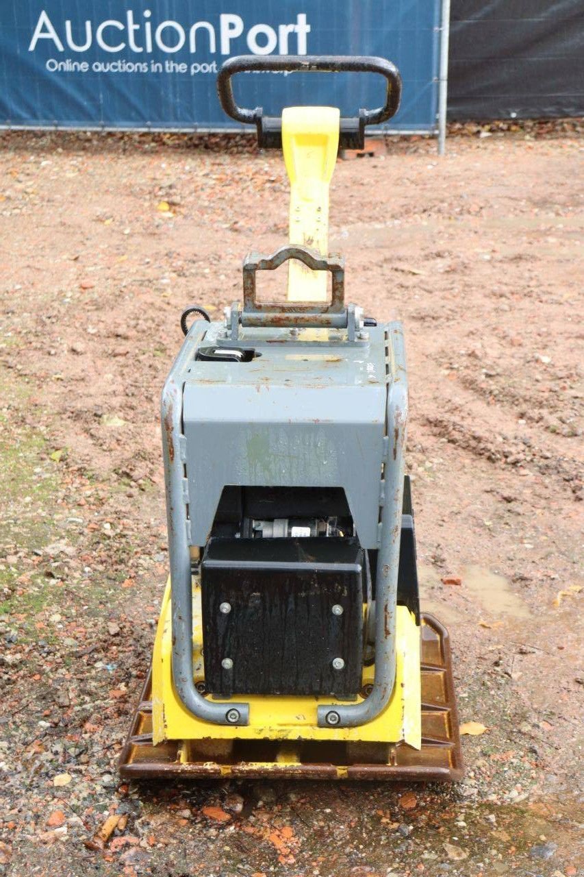 Packer & Walze Türe ait Sonstige Neuson DPU3760, Gebrauchtmaschine içinde Antwerpen (resim 8)