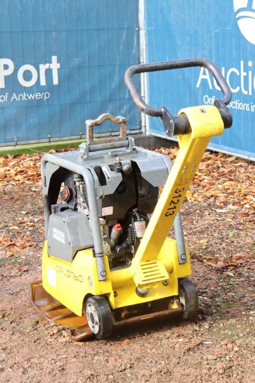 Packer & Walze tipa Sonstige Neuson DPU3760, Gebrauchtmaschine u Antwerpen (Slika 3)