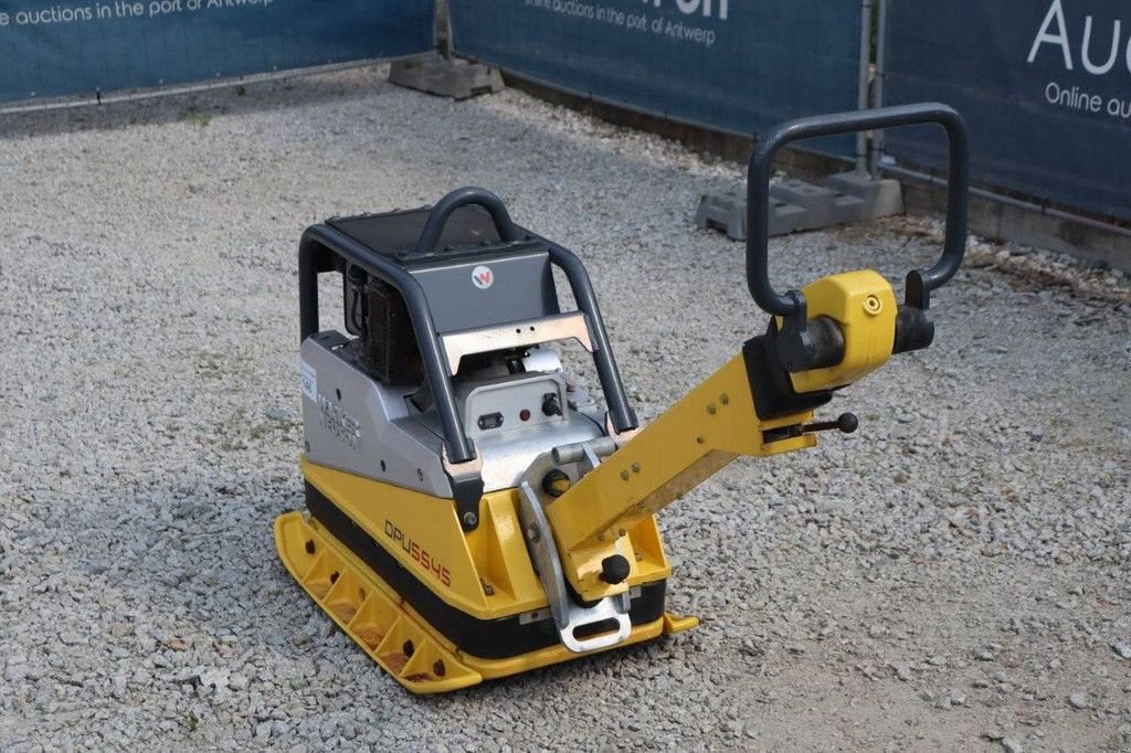 Packer & Walze typu Sonstige Neuson DPU5545, Gebrauchtmaschine v Antwerpen (Obrázok 4)