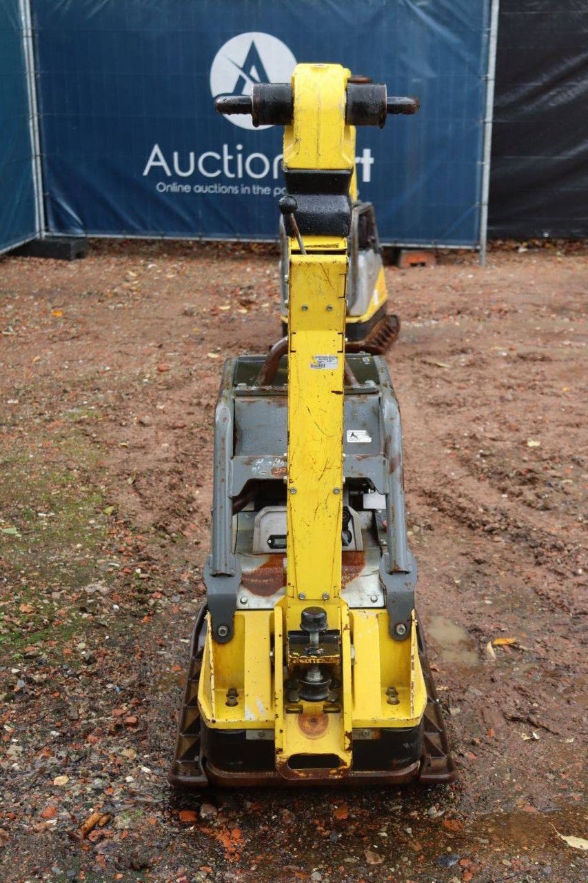 Packer & Walze типа Sonstige Neuson DPU5545, Gebrauchtmaschine в Antwerpen (Фотография 8)