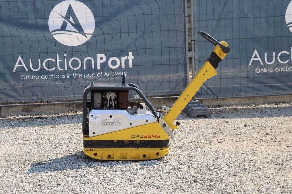 Packer & Walze tip Sonstige Neuson DPU5545, Gebrauchtmaschine in Antwerpen (Poză 1)