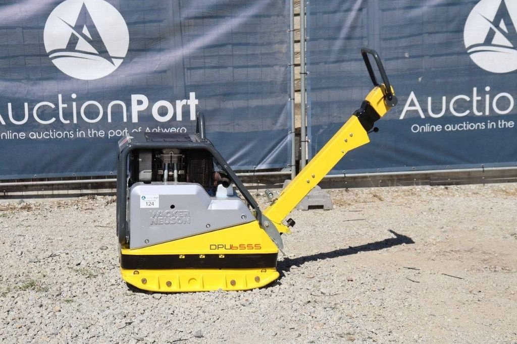 Packer & Walze Türe ait Sonstige Neuson DPU6555, Gebrauchtmaschine içinde Antwerpen (resim 1)