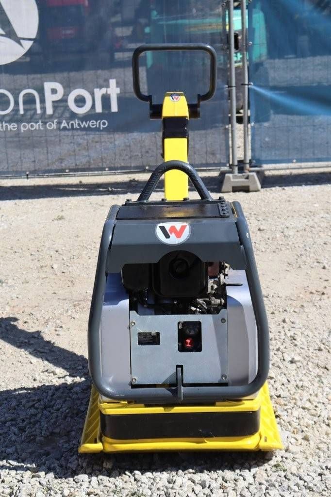 Packer & Walze Türe ait Sonstige Neuson DPU6555, Gebrauchtmaschine içinde Antwerpen (resim 9)