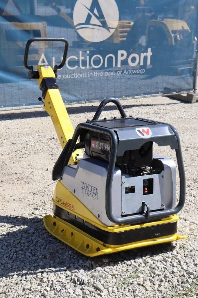 Packer & Walze Türe ait Sonstige Neuson DPU6555, Gebrauchtmaschine içinde Antwerpen (resim 8)