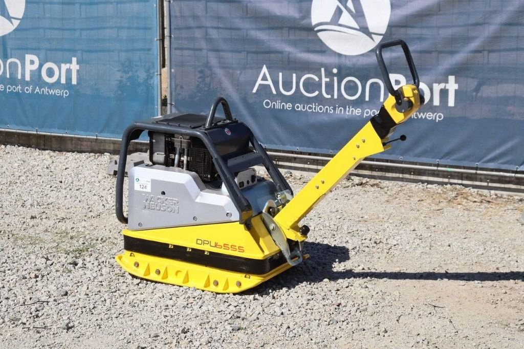 Packer & Walze Türe ait Sonstige Neuson DPU6555, Gebrauchtmaschine içinde Antwerpen (resim 3)