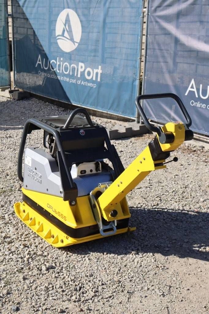 Packer & Walze Türe ait Sonstige Neuson DPU6555, Gebrauchtmaschine içinde Antwerpen (resim 4)