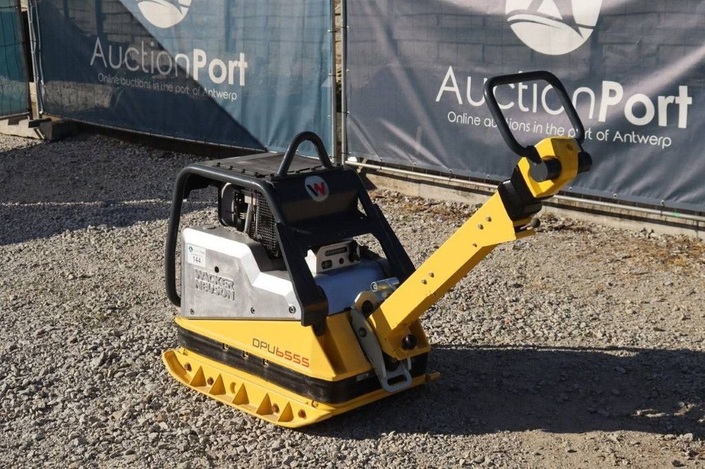 Packer & Walze des Typs Sonstige Neuson DPU6555, Gebrauchtmaschine in Antwerpen (Bild 4)