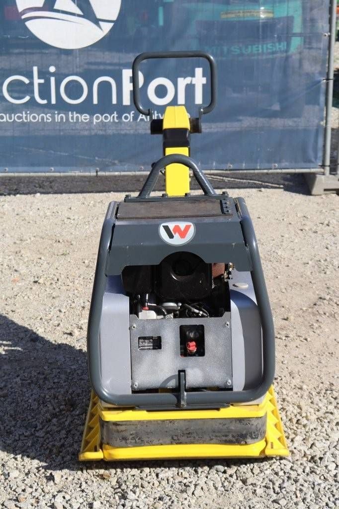 Packer & Walze typu Sonstige Neuson DPU6555, Gebrauchtmaschine v Antwerpen (Obrázok 9)