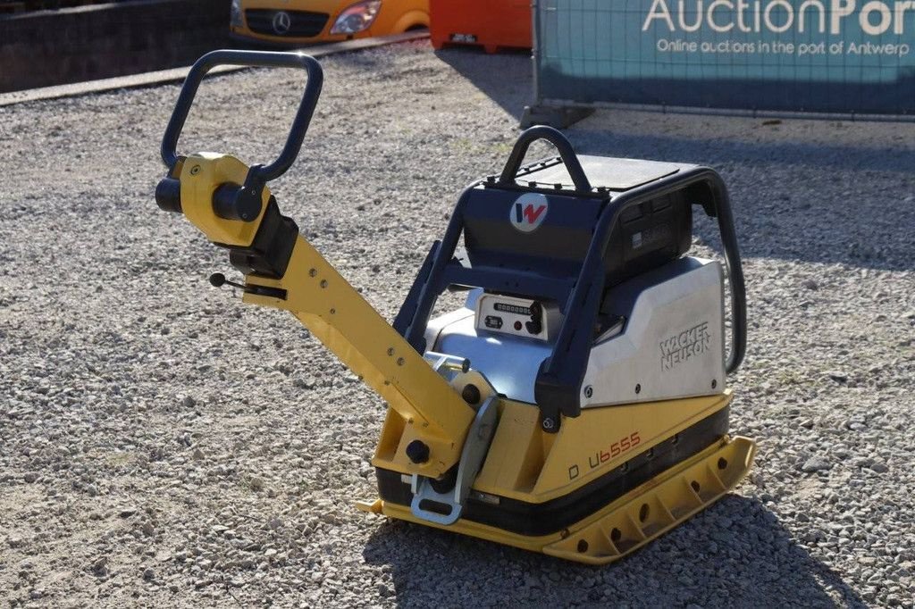 Packer & Walze Türe ait Sonstige Neuson DPU6555, Gebrauchtmaschine içinde Antwerpen (resim 7)