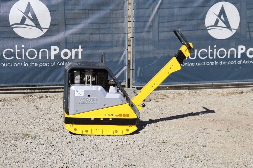 Packer & Walze от тип Sonstige Neuson DPU6555, Gebrauchtmaschine в Antwerpen (Снимка 1)