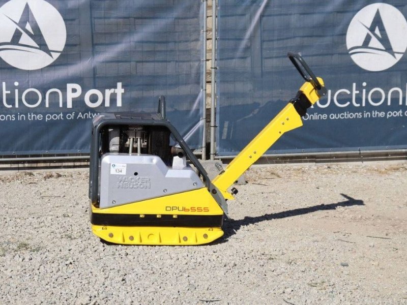 Packer & Walze от тип Sonstige Neuson DPU6555, Gebrauchtmaschine в Antwerpen (Снимка 1)