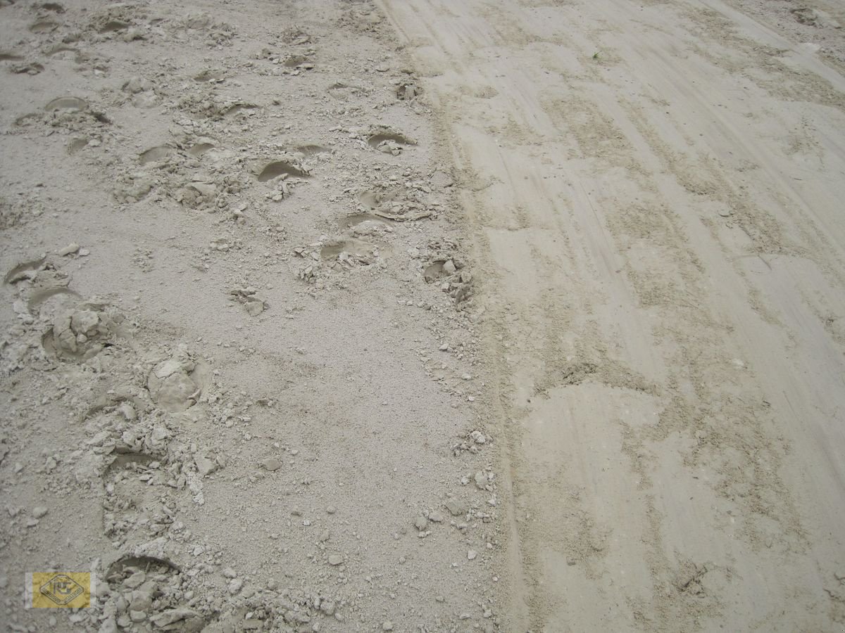 Packer & Walze tipa Sonstige Reitplatzplaner Platz-Max Multi, Neumaschine u Beelen (Slika 4)