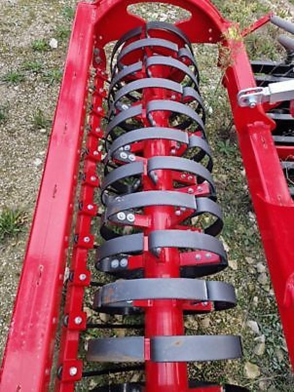 Packer & Walze typu Sonstige ROULEAU ROLFLEX 3M HORSCH, Neumaschine v Monferran-Savès (Obrázek 2)