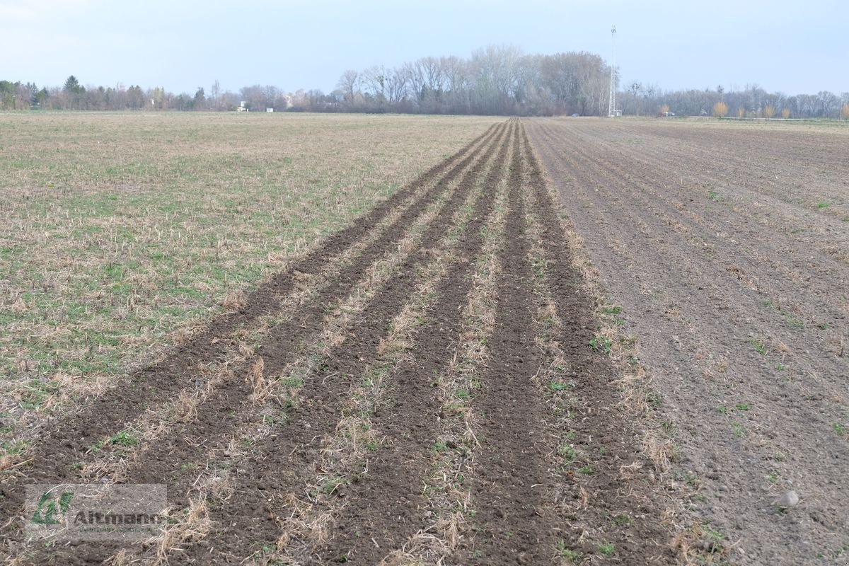 Packer & Walze tip Sonstige SPX280 - 6/50, Vorführmaschine in Lanzenkirchen (Poză 17)