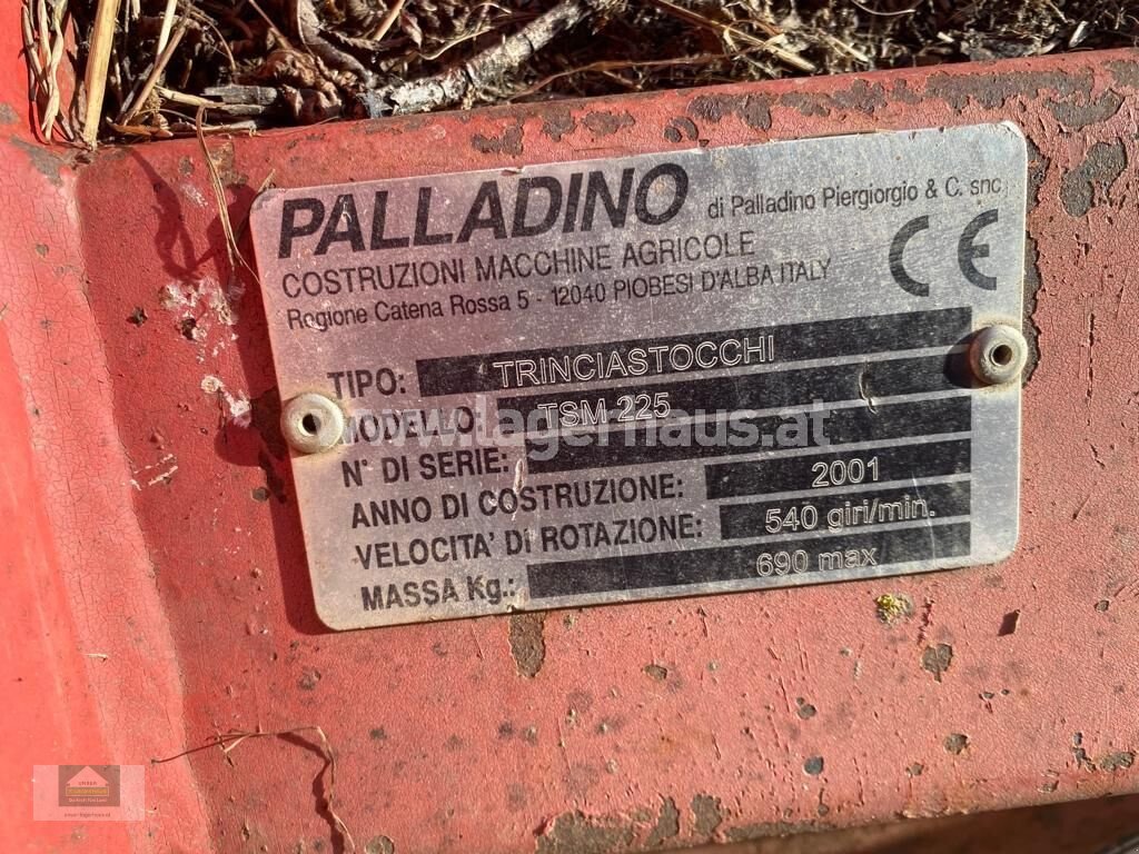 Packer & Walze типа Sonstige TRINCIASTOCCHI TSM 225, Gebrauchtmaschine в Klagenfurt (Фотография 3)