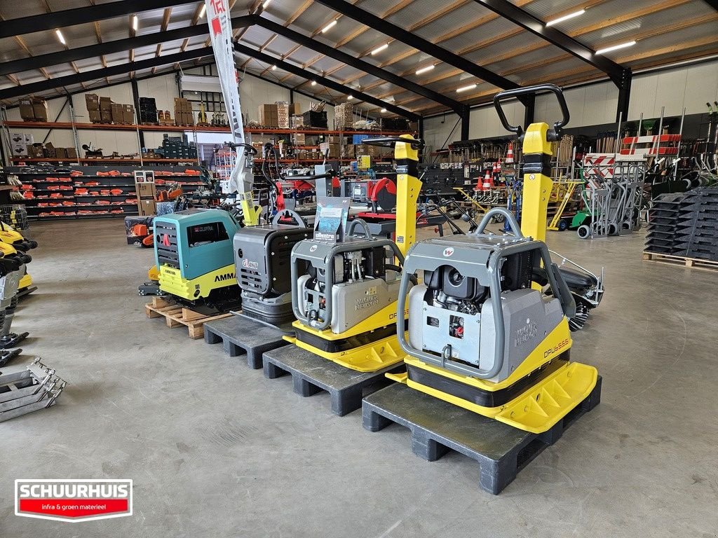 Packer & Walze of the type Sonstige Wacker DPU6555, Neumaschine in Oldebroek (Picture 7)