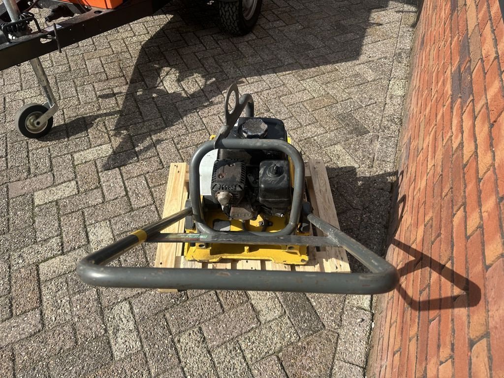 Packer & Walze от тип Sonstige Wacker WP1550A, Gebrauchtmaschine в Cabauw (Снимка 4)
