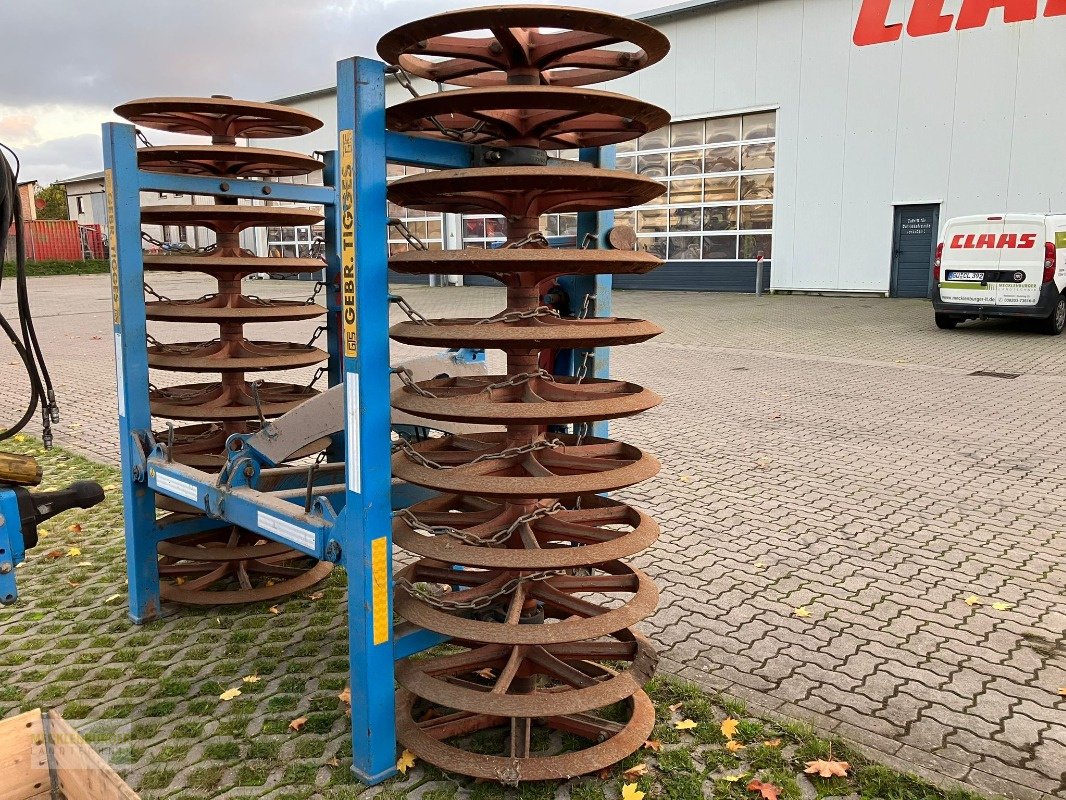 Packer & Walze of the type Tigges Nautilus 945 S, Gebrauchtmaschine in Mühlengeez (Picture 3)