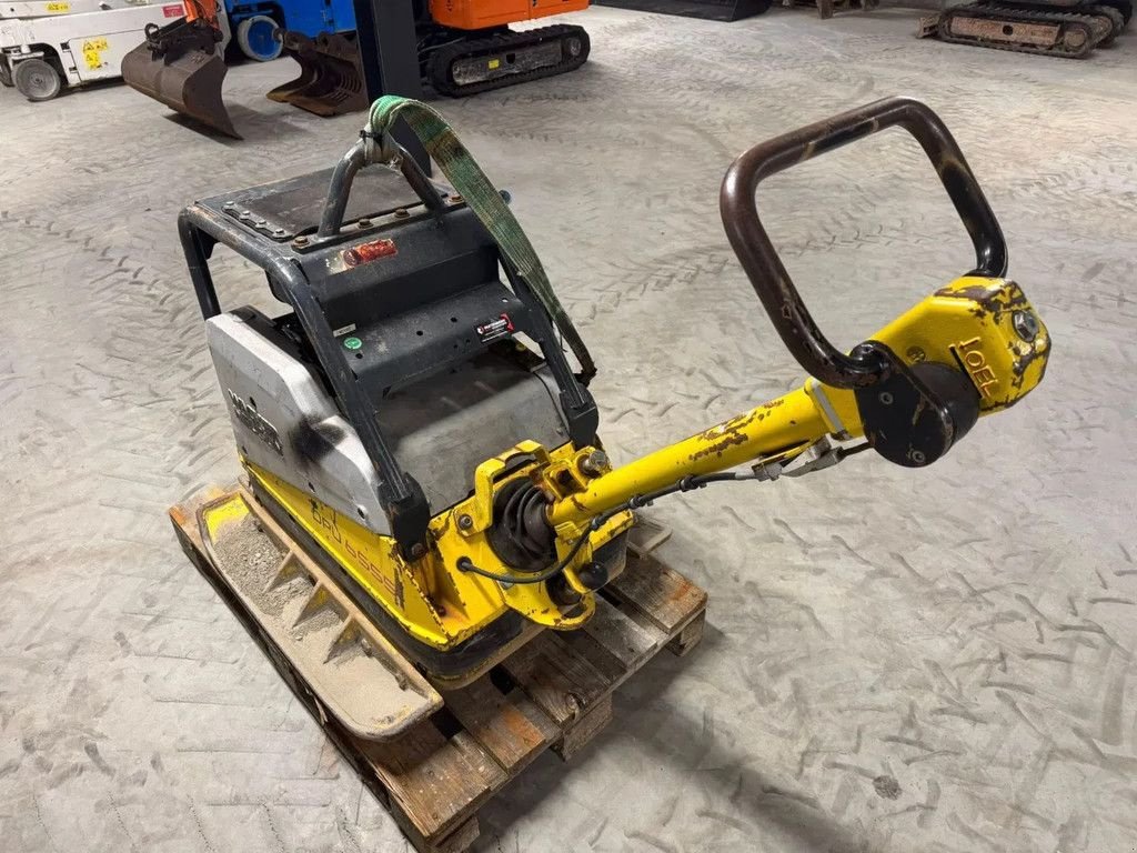 Packer & Walze del tipo Wacker Neuson DPU 6555 Trilplaat, Gebrauchtmaschine en Harskamp (Imagen 5)