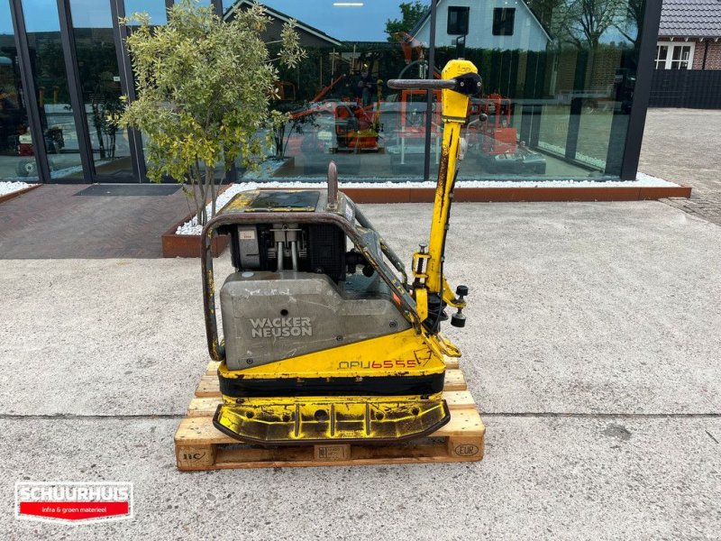 Packer & Walze of the type Wacker Neuson DPU6555, Gebrauchtmaschine in Oldebroek