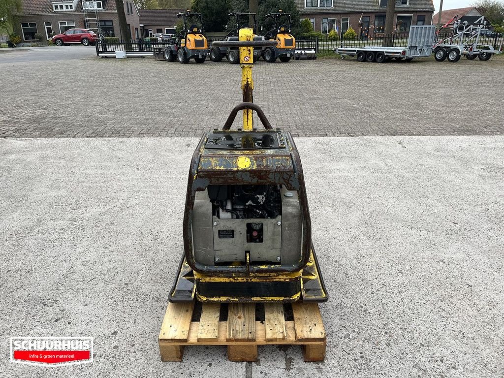 Packer & Walze tipa Wacker Neuson DPU6555, Gebrauchtmaschine u Oldebroek (Slika 3)