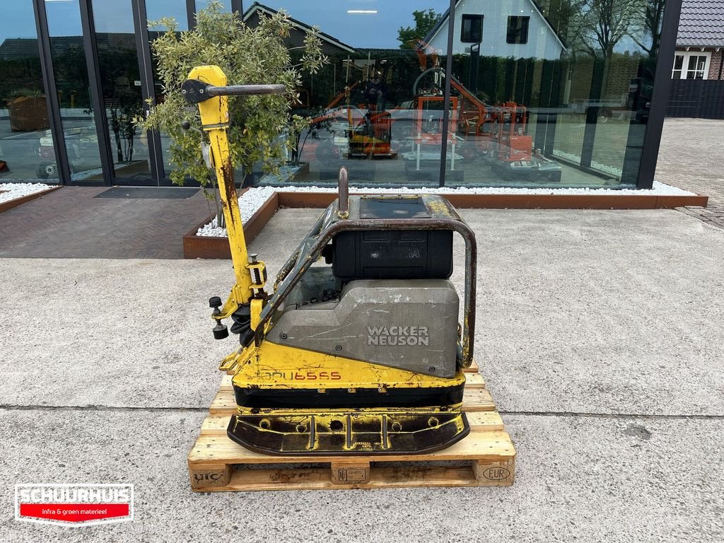 Packer & Walze tipa Wacker Neuson DPU6555, Gebrauchtmaschine u Oldebroek (Slika 2)