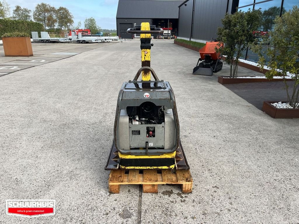Packer & Walze tipa Wacker Neuson DPU6555, Gebrauchtmaschine u Oldebroek (Slika 4)