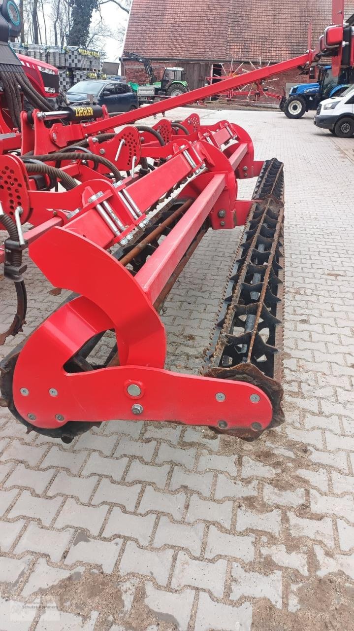 Packer & Walze от тип Ziegler Doppel-Krümlerwalze 2x 2,5m, Gebrauchtmaschine в Borken (Снимка 2)