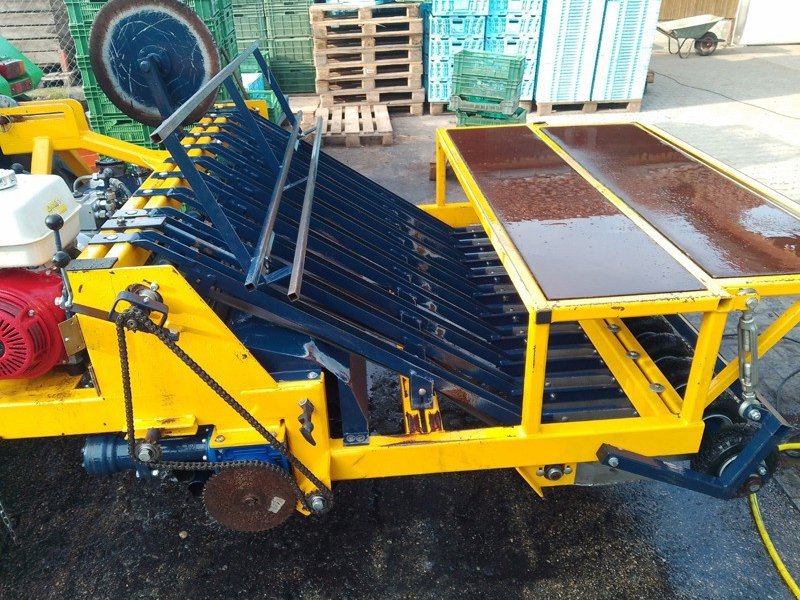 Pflanzmaschine des Typs nicht bekannt Sonstiges, Gebrauchtmaschine in Gampelen (Bild 1)