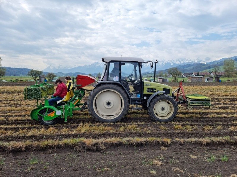 Pflanzmaschine Türe ait Sfoggia Califormia 4, Gebrauchtmaschine içinde Mühlethurnen (resim 2)