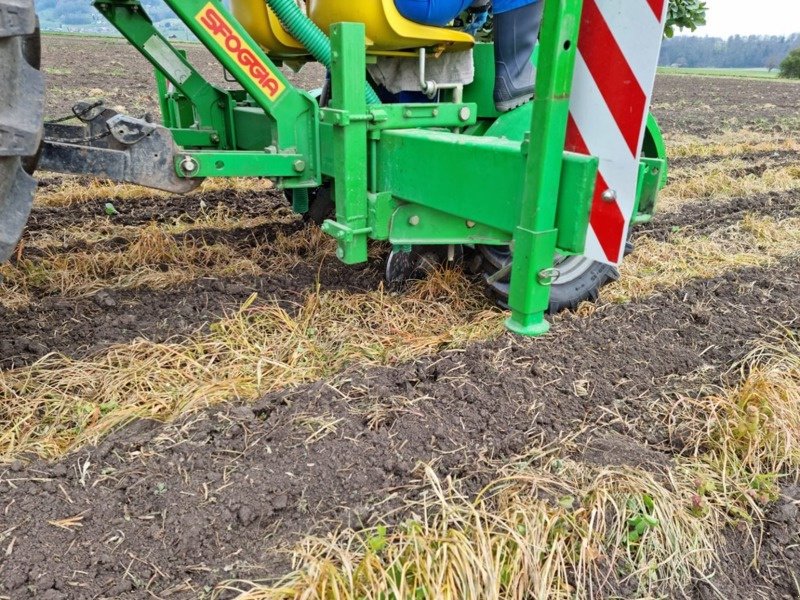 Pflanzmaschine Türe ait Sfoggia Califormia 4, Gebrauchtmaschine içinde Mühlethurnen (resim 5)