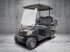 Pflegefahrzeug & Pflegegerät tip ICOCAR Birdie 2+2 3.0 Golfcar 4-Sitzer ICO CAR, Neumaschine in Wien (Poză 1)