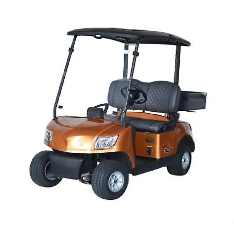 Pflegefahrzeug & Pflegegerät des Typs ICOCAR Birdie 3.0 "Cargo" Transportcar der Sonderklasse ICO CAR, Neumaschine in Wien (Bild 1)