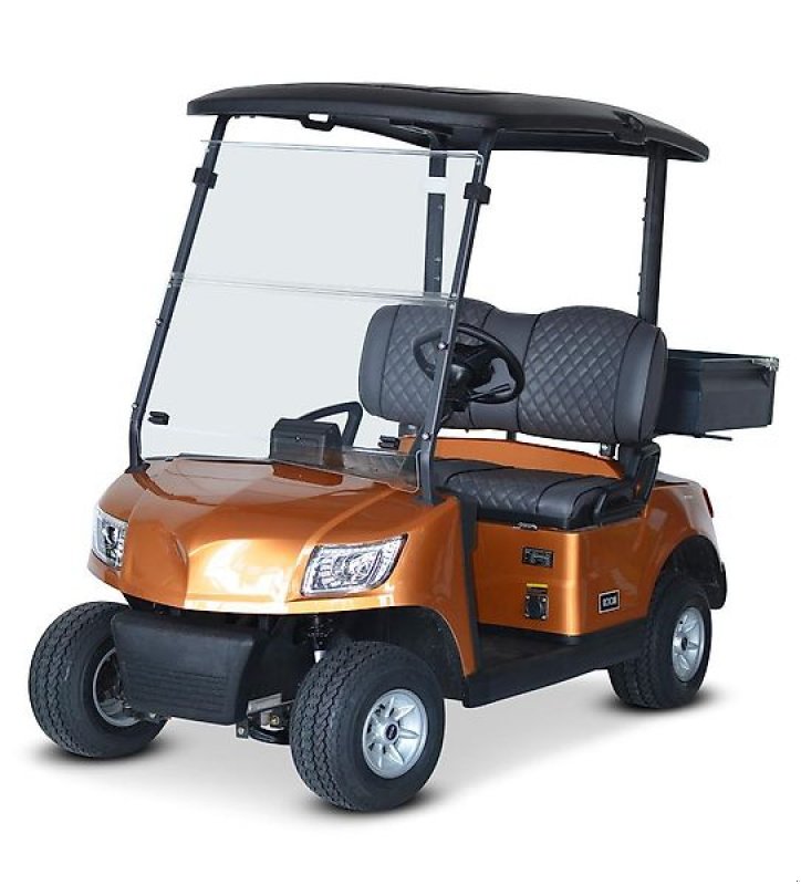 Pflegefahrzeug & Pflegegerät des Typs ICOCAR Birdie Cargo 3.0 "DeLuxe" Vorführfahrzeug, Vorführmaschine in Wien (Bild 1)