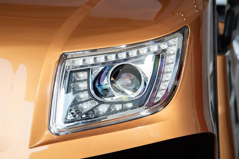 Pflegefahrzeug & Pflegegerät des Typs ICOCAR Birdie Cargo 3.0 "DeLuxe" Vorführfahrzeug, Vorführmaschine in Wien (Bild 2)