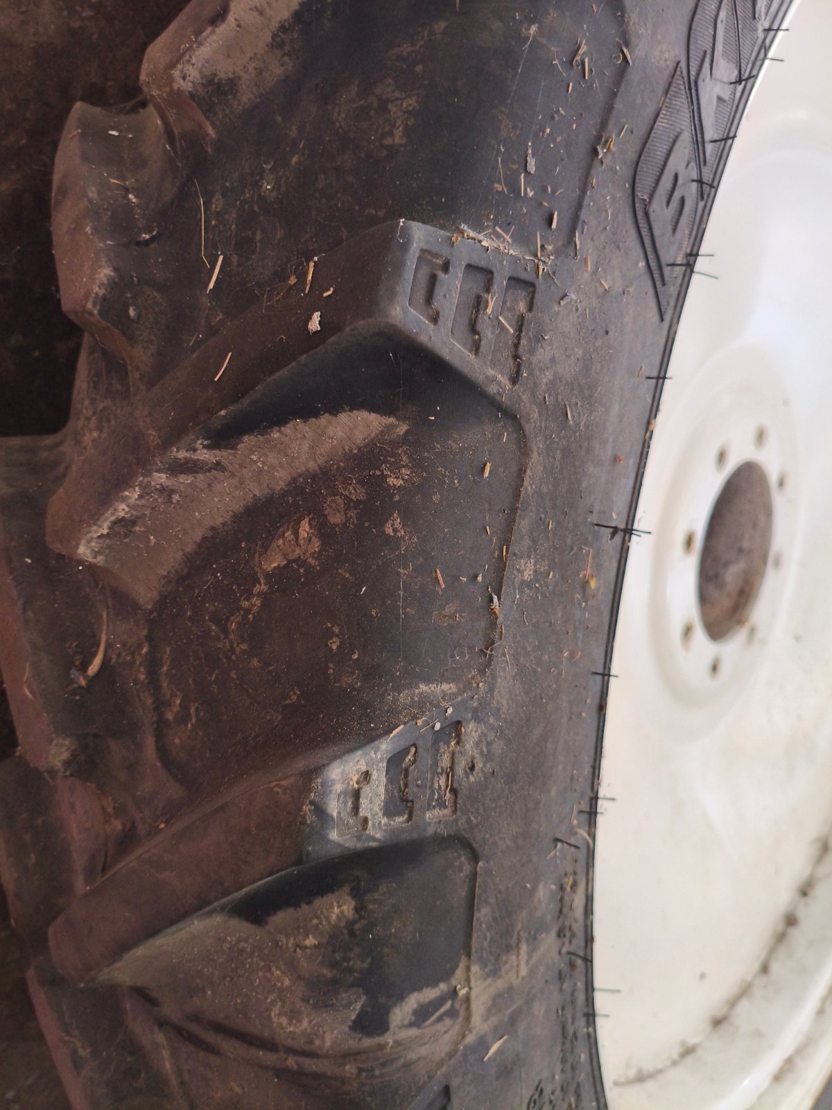 Pflegerad του τύπου BKT 270/95 R 48, Gebrauchtmaschine σε Johanniskirchen  (Φωτογραφία 2)