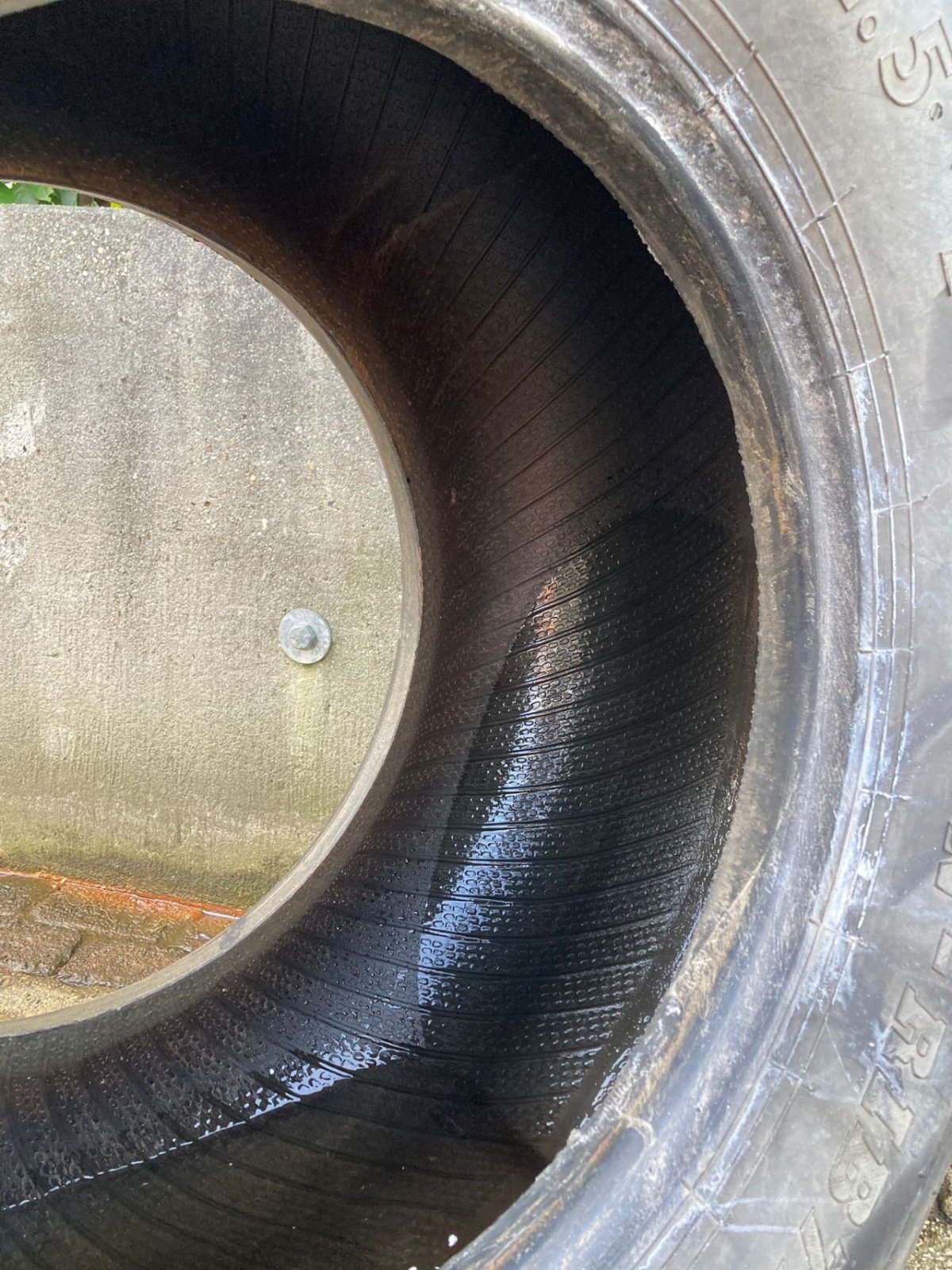 Pflegerad des Typs BKT band, Gebrauchtmaschine in Stolwijk (Bild 3)