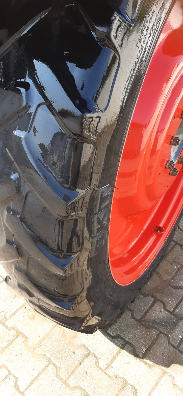 Pflegerad Türe ait BKT Pflegebereifung, Gebrauchtmaschine içinde Straubing (resim 3)