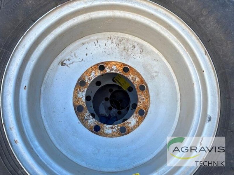 Pflegerad of the type Bohnenkamp PFLEGERÄDER, Gebrauchtmaschine in Meppen (Picture 4)