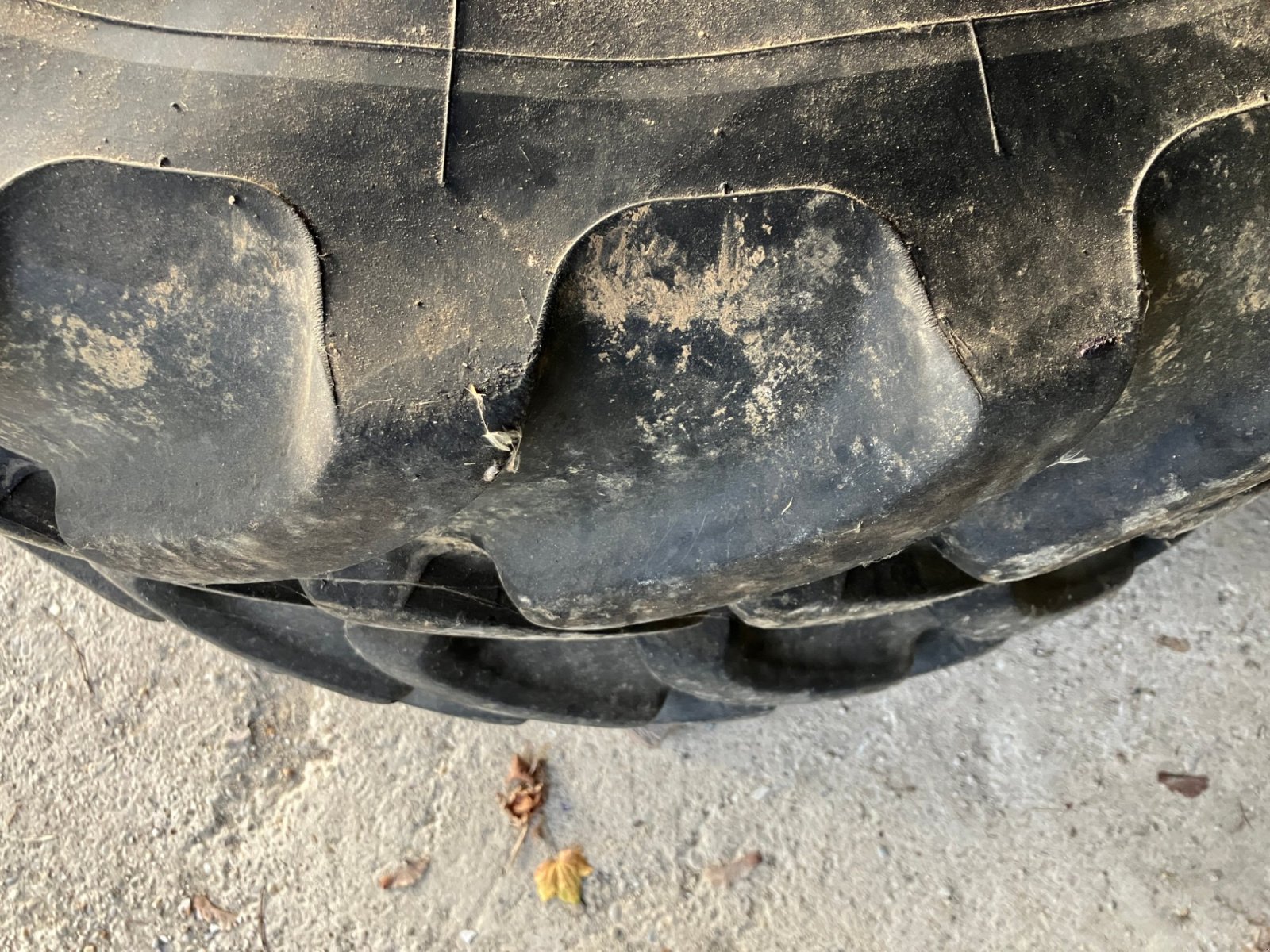 Pflegerad от тип Firestone Räder, Gebrauchtmaschine в Schierling (Снимка 4)