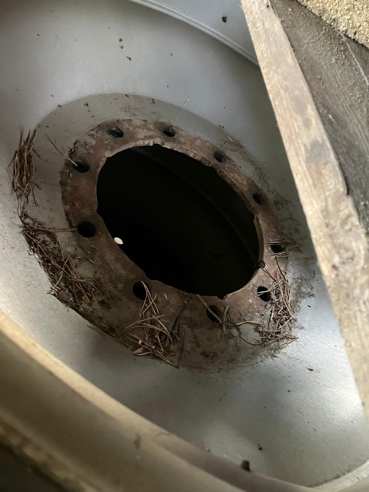 Pflegerad des Typs Massey Ferguson 340/95R48 + 320/95R32 Continental, Gebrauchtmaschine in Hillerse (Bild 3)