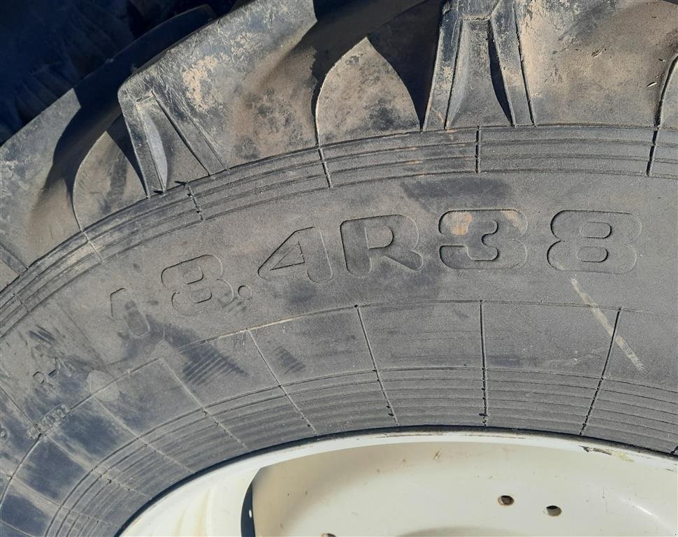 Pflegerad Türe ait Sonstige 1 stk 18.4R38, radial komplethjul, Gebrauchtmaschine içinde Horsens (resim 4)