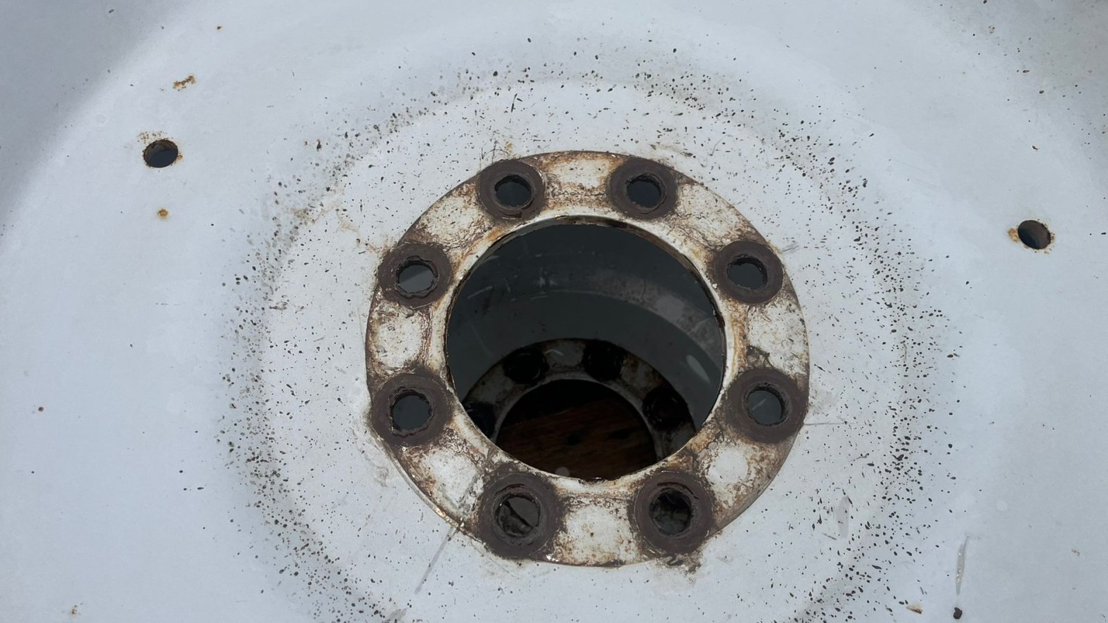 Pflegerad типа Sonstige 14.9R46 og 12,4R36 Komplet sæt, Gebrauchtmaschine в Lintrup (Фотография 10)