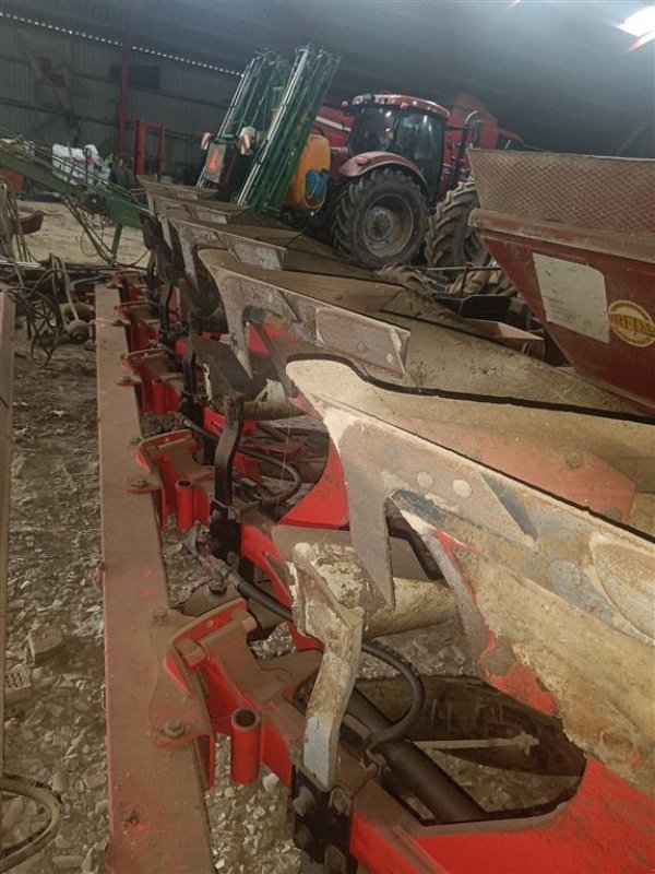 Pflug typu Överum /Massey Ferguson 6 furet, Gebrauchtmaschine v Egtved (Obrázek 9)