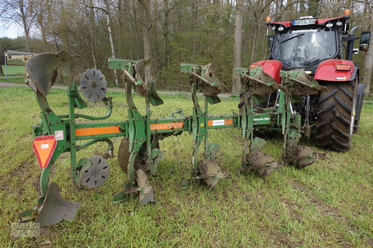 Pflug des Typs Amazone Cayron 200 5 Schar, Gebrauchtmaschine in Borken (Bild 5)