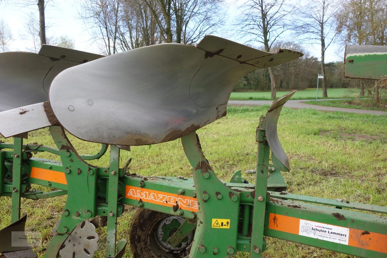 Pflug des Typs Amazone Cayron 200 5 Schar, Gebrauchtmaschine in Borken (Bild 7)